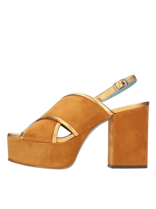  PAOLA D'ARCANO | 1508CUOIO